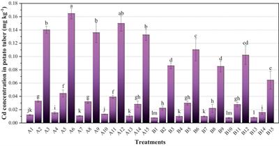 Cadmium accumulation and transfer in yellowish-brown and limestone soils of five potato varieties based on a pot experiment in the central Hanjiang River basin